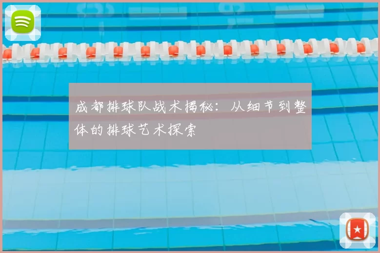 成都排球队战术揭秘：从细节到整体的排球艺术探索