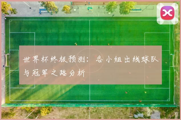 世界杯终极预测:各小组出线球队与冠军之路分析