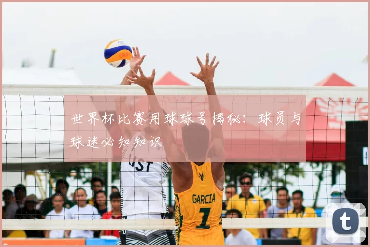 世界杯比赛用球球号揭秘：球员与球迷必知知识