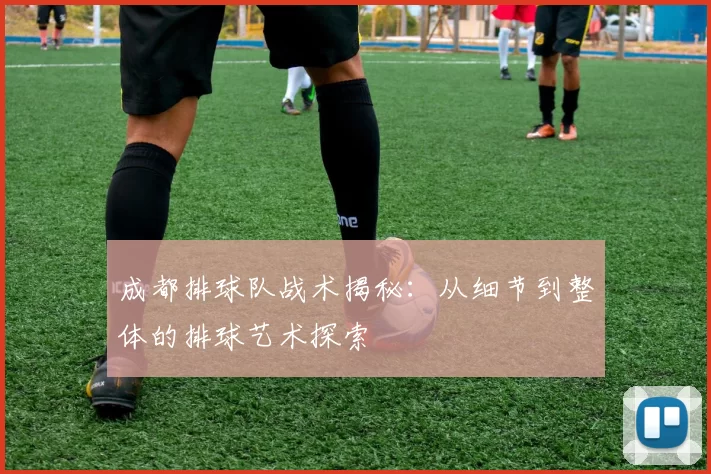 成都排球队战术揭秘：从细节到整体的排球艺术探索