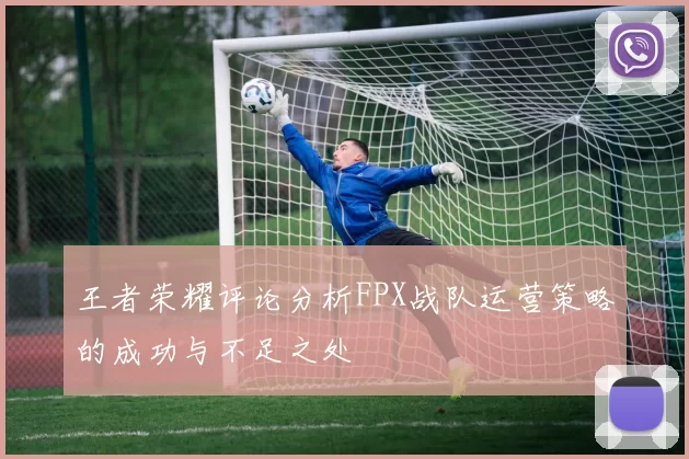 王者荣耀评论分析FPX战队运营策略的成功与不足之处