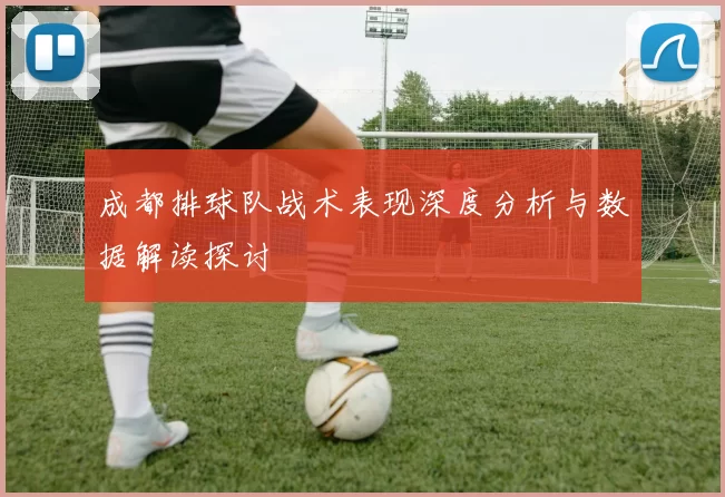 成都排球队战术表现深度分析与数据解读探讨