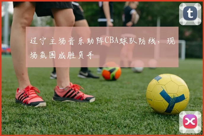 辽宁主场音乐助阵CBA球队防线，现场氛围成胜负手