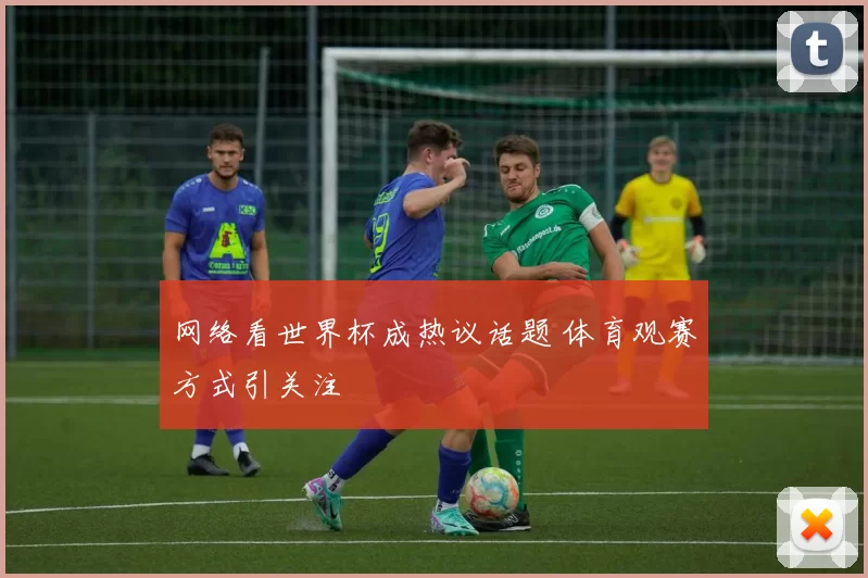 网络看世界杯成热议话题 体育观赛方式引关注