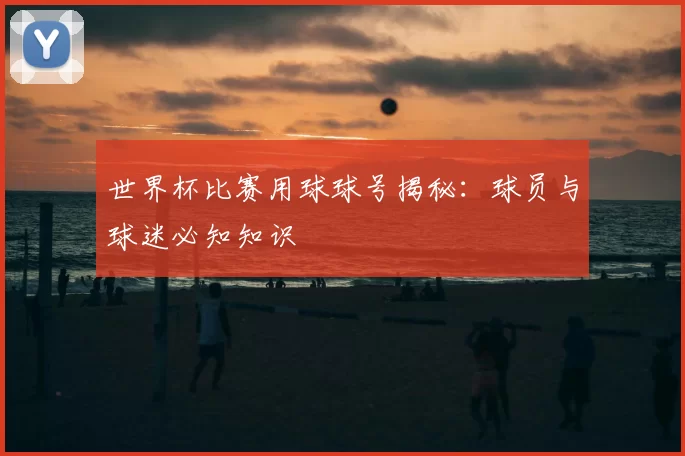 世界杯比赛用球球号揭秘：球员与球迷必知知识